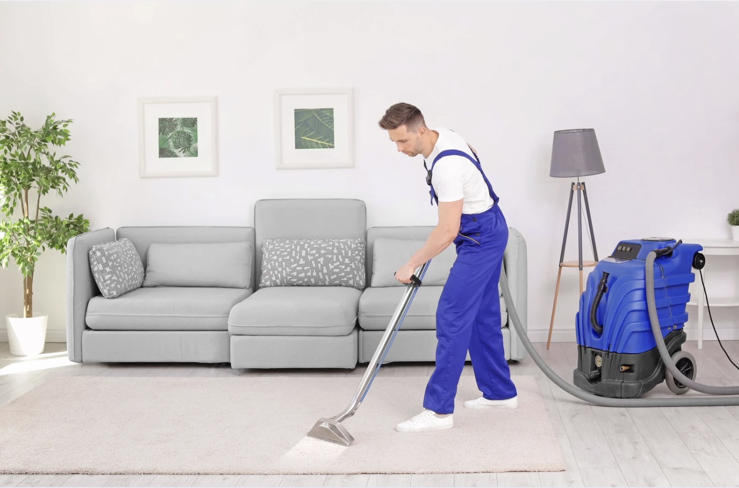 Expert Carpet Cleaning Services in Singapore (2026)